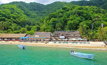 SEA SAFARI   & BEACH BBQ
