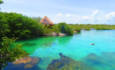CENOTES & PARADISE LAGOON